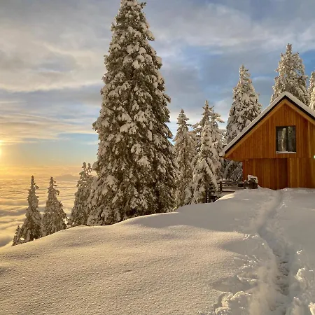 Cudovita Koca Na Samem, Gorenka
